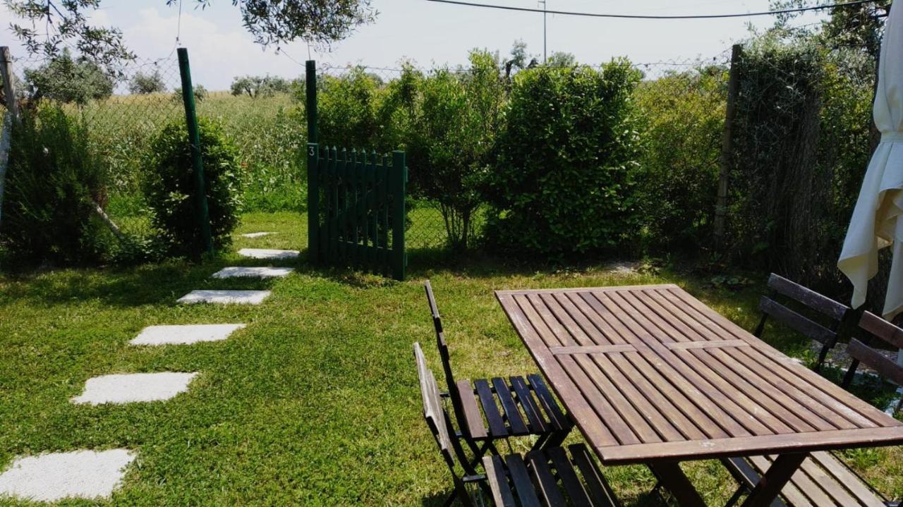 Agriturismo Casale San Benedetto Ceri Exterior foto